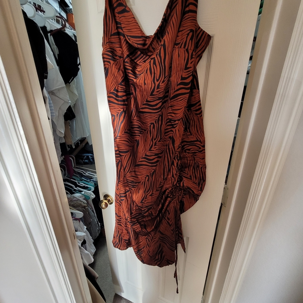 Dress - Picture 6 of 6